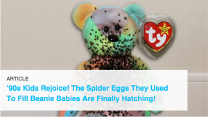 spider eggs beanie baby